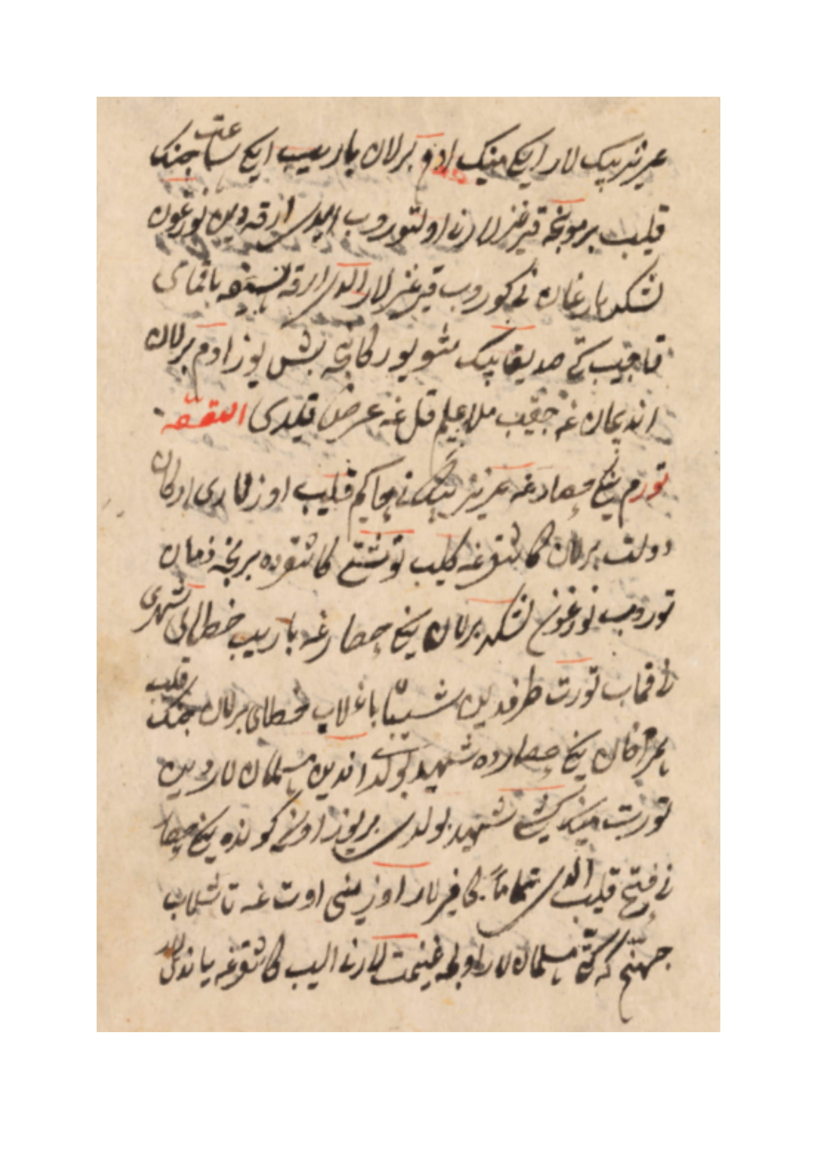 koktug_1__yakup_bey_gonderildi-5